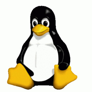 linux 磁盘查看